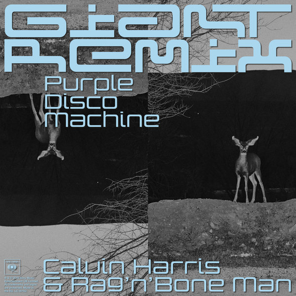 Calvin Harris Giant Purple Disco Machine Extended Remix on Traxsource