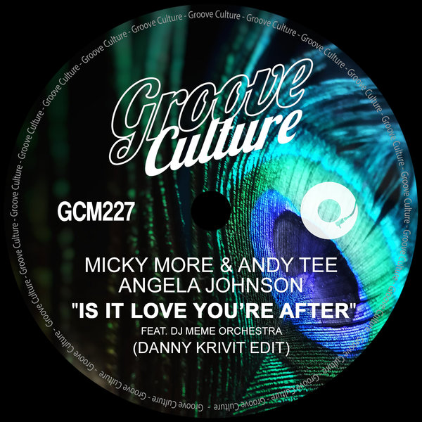 Micky More & Andy Tee Ft. Angela Johnson / Is It Love You’re After Micky More & Andy Tee Ft. Angela Johnson / Is It Love You’re After