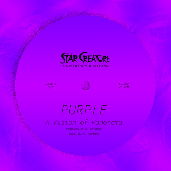 A Vision of Panorama / Purple A Vision of Panorama / Purple