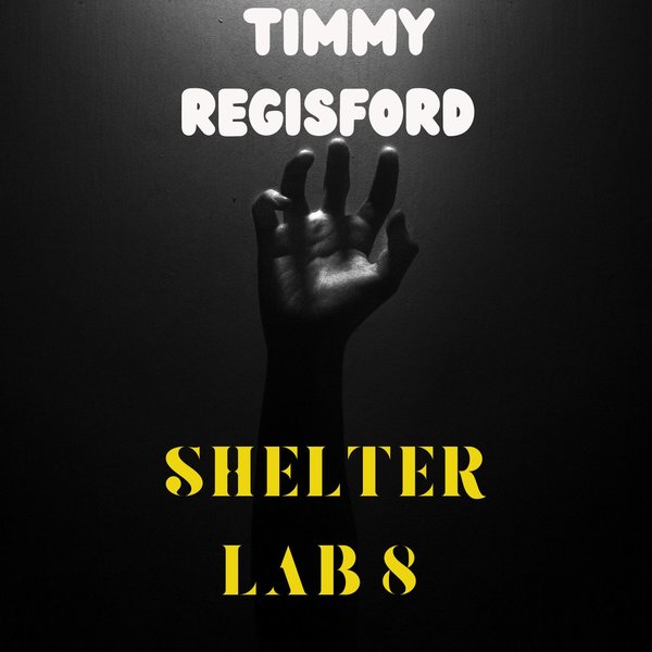 新しいスタイル TIMMY REGISFORD - Shelter Lab 8 on Traxsource その他