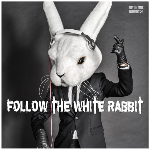 Various Artists - Follow the White Rabbit on Traxsource